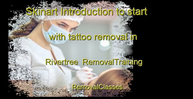 Skinart Introduction to start with tattoo removal in Rivertree | RemovalTraining | RemovalClasses | SkinartTraining-Australia