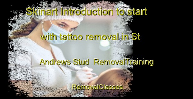 Skinart Introduction to start with tattoo removal in St  Andrews Stud | RemovalTraining | RemovalClasses | SkinartTraining-Australia