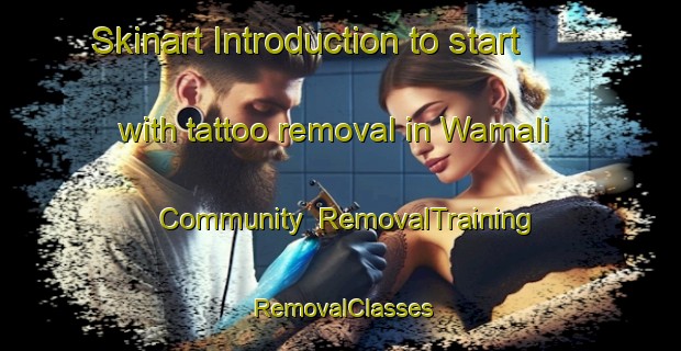 Skinart Introduction to start with tattoo removal in Wamali Community | RemovalTraining | RemovalClasses | SkinartTraining-Australia