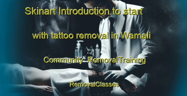 Skinart Introduction to start with tattoo removal in Wamali Community | RemovalTraining | RemovalClasses | SkinartTraining-Australia