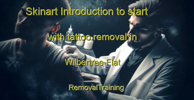 Skinart Introduction to start with tattoo removal in Wilbertree Flat | RemovalTraining | RemovalClasses | SkinartTraining-Australia