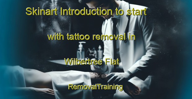 Skinart Introduction to start with tattoo removal in Wilbertree Flat | RemovalTraining | RemovalClasses | SkinartTraining-Australia
