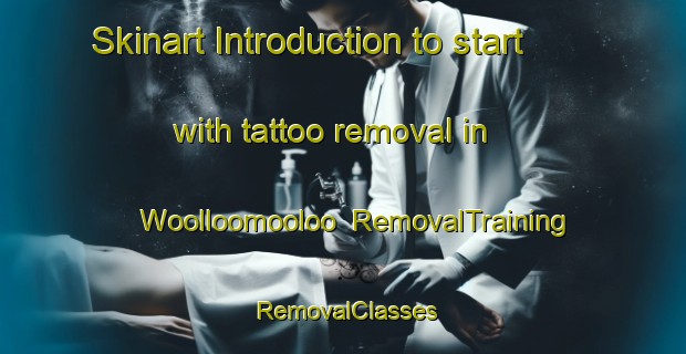 Skinart Introduction to start with tattoo removal in Woolloomooloo | RemovalTraining | RemovalClasses | SkinartTraining-Australia