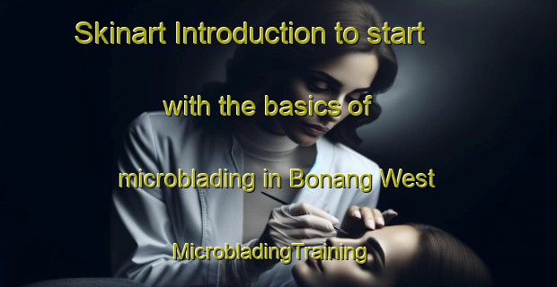 Skinart Introduction to start with the basics of microblading in Bonang West | MicrobladingTraining | MicrobladingClasses | SkinartTraining-Australia