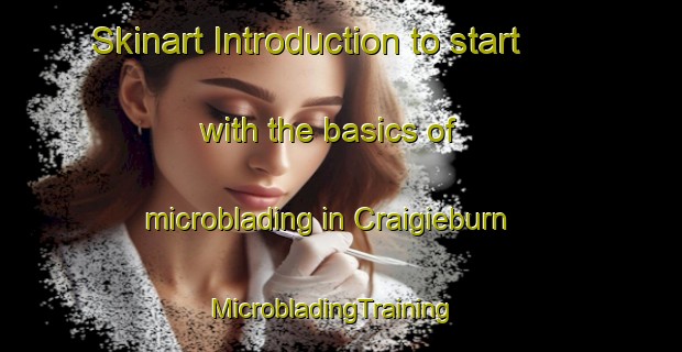 Skinart Introduction to start with the basics of microblading in Craigieburn | MicrobladingTraining | MicrobladingClasses | SkinartTraining-Australia