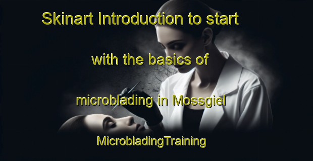 Skinart Introduction to start with the basics of microblading in Mossgiel | MicrobladingTraining | MicrobladingClasses | SkinartTraining-Australia