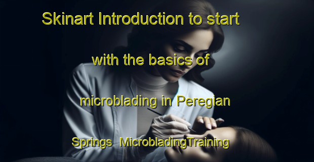 Skinart Introduction to start with the basics of microblading in Peregian Springs | MicrobladingTraining | MicrobladingClasses | SkinartTraining-Australia
