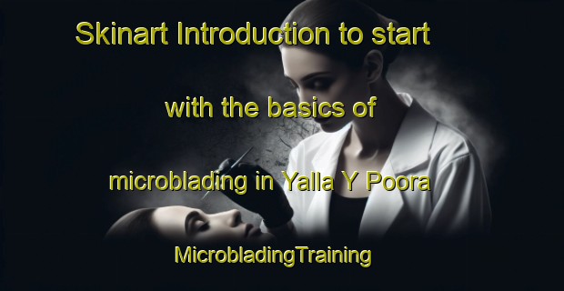 Skinart Introduction to start with the basics of microblading in Yalla Y Poora | MicrobladingTraining | MicrobladingClasses | SkinartTraining-Australia