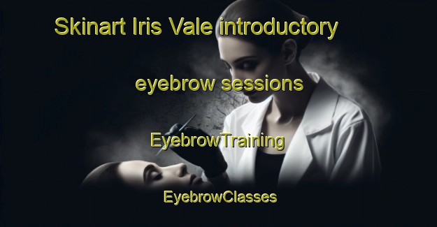 Skinart Iris Vale introductory eyebrow sessions | EyebrowTraining | EyebrowClasses | SkinartTraining-Australia