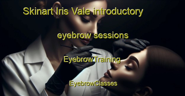 Skinart Iris Vale introductory eyebrow sessions | EyebrowTraining | EyebrowClasses | SkinartTraining-Australia