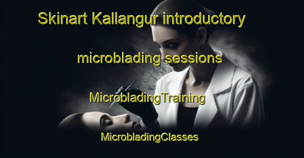 Skinart Kallangur introductory microblading sessions | MicrobladingTraining | MicrobladingClasses | SkinartTraining-Australia