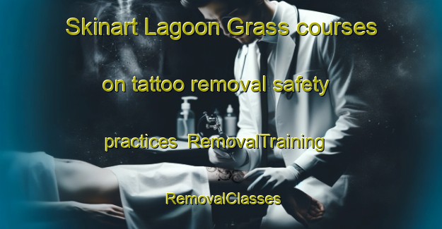 Skinart Lagoon Grass courses on tattoo removal safety practices | RemovalTraining | RemovalClasses | SkinartTraining-Australia