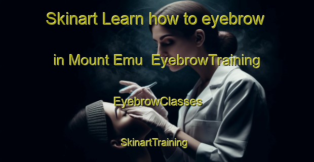 Skinart Learn how to eyebrow in Mount Emu | EyebrowTraining | EyebrowClasses | SkinartTraining-Australia