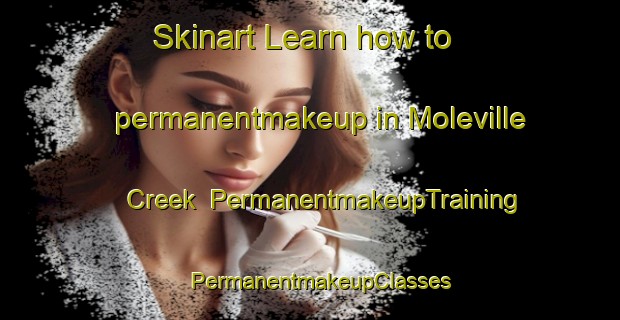 Skinart Learn how to permanentmakeup in Moleville Creek | PermanentmakeupTraining | PermanentmakeupClasses | SkinartTraining-Australia
