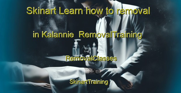 Skinart Learn how to removal in Kalannie | RemovalTraining | RemovalClasses | SkinartTraining-Australia