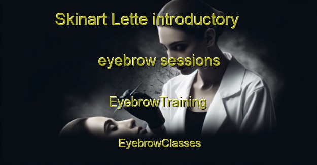 Skinart Lette introductory eyebrow sessions | EyebrowTraining | EyebrowClasses | SkinartTraining-Australia