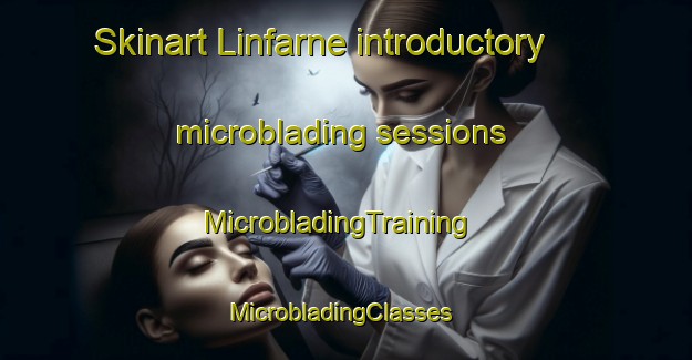 Skinart Linfarne introductory microblading sessions | MicrobladingTraining | MicrobladingClasses | SkinartTraining-Australia