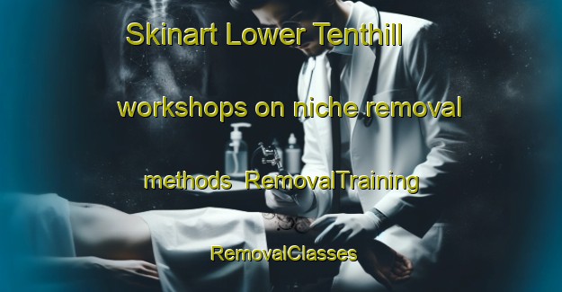 Skinart Lower Tenthill workshops on niche removal methods | RemovalTraining | RemovalClasses | SkinartTraining-Australia