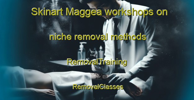 Skinart Maggea workshops on niche removal methods | RemovalTraining | RemovalClasses | SkinartTraining-Australia