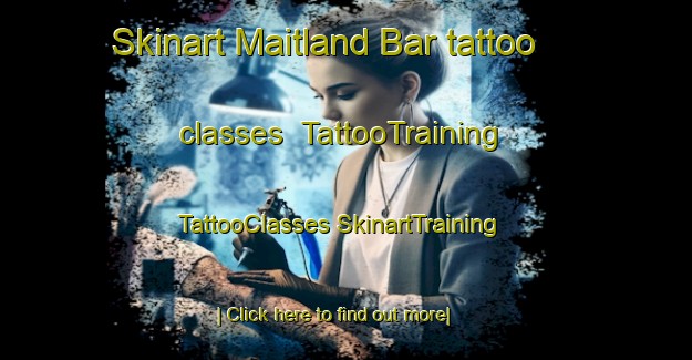 Skinart Maitland Bar tattoo classes | #TattooTraining #TattooClasses #SkinartTraining-Australia