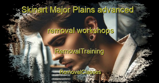 Skinart Major Plains advanced removal workshops | RemovalTraining | RemovalClasses | SkinartTraining-Australia