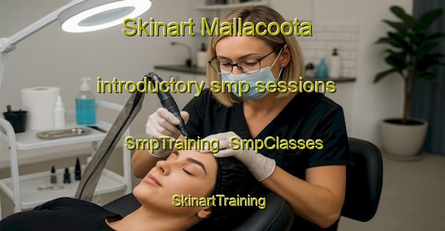 Skinart Mallacoota introductory smp sessions | SmpTraining | SmpClasses | SkinartTraining-Australia