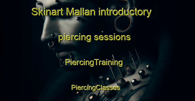 Skinart Mallan introductory piercing sessions | PiercingTraining | PiercingClasses | SkinartTraining-Australia