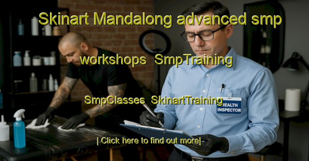Skinart Mandalong advanced smp workshops | SmpTraining | SmpClasses | SkinartTraining-Australia