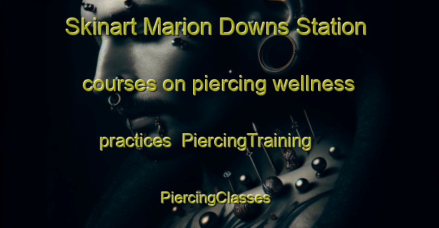 Skinart Marion Downs Station courses on piercing wellness practices | PiercingTraining | PiercingClasses | SkinartTraining-Australia