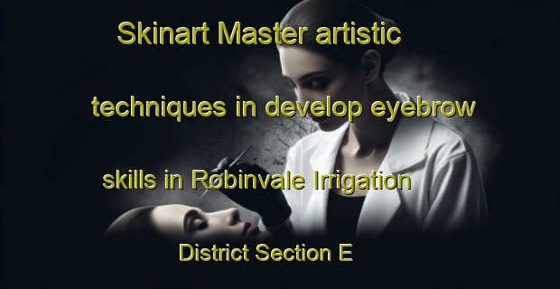 Skinart Master artistic techniques in develop eyebrow skills in Robinvale Irrigation District Section E | EyebrowTraining | EyebrowClasses | SkinartTraining-Australia
