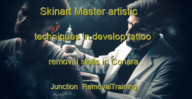 Skinart Master artistic techniques in develop tattoo removal skills in Conara Junction | RemovalTraining | RemovalClasses | SkinartTraining-Australia