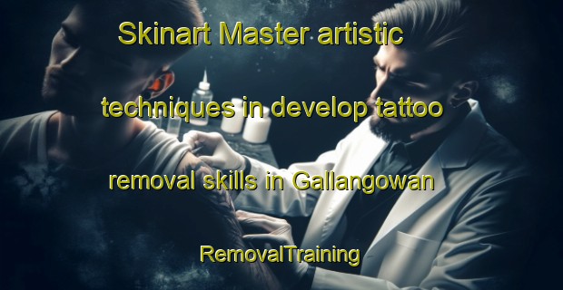 Skinart Master artistic techniques in develop tattoo removal skills in Gallangowan | RemovalTraining | RemovalClasses | SkinartTraining-Australia