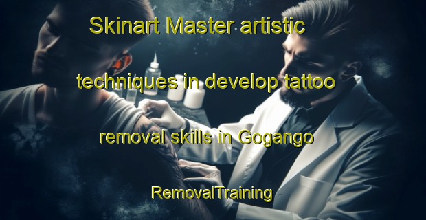 Skinart Master artistic techniques in develop tattoo removal skills in Gogango | RemovalTraining | RemovalClasses | SkinartTraining-Australia