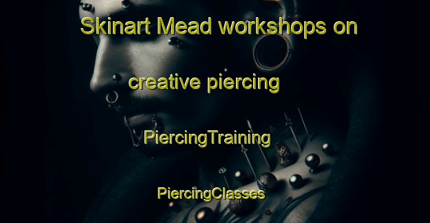 Skinart Mead workshops on creative piercing | PiercingTraining | PiercingClasses | SkinartTraining-Australia