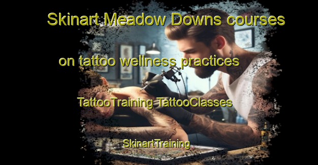 Skinart Meadow Downs courses on tattoo wellness practices | #TattooTraining #TattooClasses #SkinartTraining-Australia