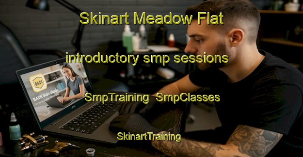 Skinart Meadow Flat introductory smp sessions | SmpTraining | SmpClasses | SkinartTraining-Australia