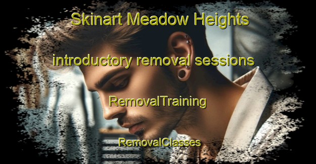 Skinart Meadow Heights introductory removal sessions | RemovalTraining | RemovalClasses | SkinartTraining-Australia