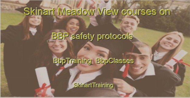 Skinart Meadow View courses on BBP safety protocols | BbpTraining | BbpClasses | SkinartTraining-Australia