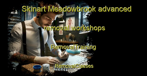 Skinart Meadowbrook advanced removal workshops | RemovalTraining | RemovalClasses | SkinartTraining-Australia