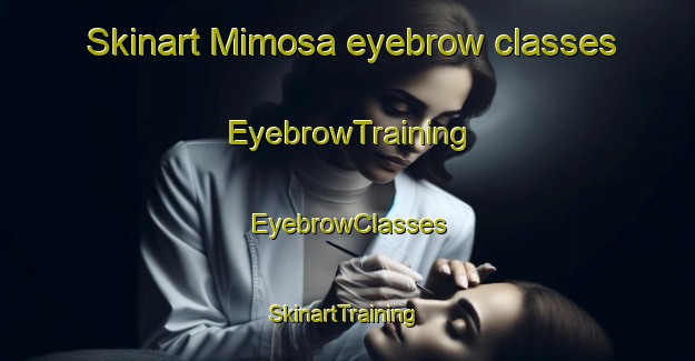 Skinart Mimosa eyebrow classes | EyebrowTraining | EyebrowClasses | SkinartTraining-Australia