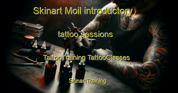 Skinart Moil introductory tattoo sessions | #TattooTraining #TattooClasses #SkinartTraining-Australia