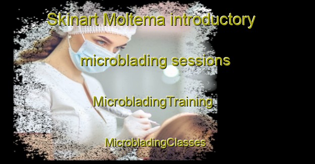 Skinart Moltema introductory microblading sessions | MicrobladingTraining | MicrobladingClasses | SkinartTraining-Australia