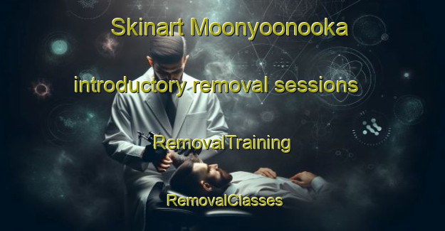 Skinart Moonyoonooka introductory removal sessions | RemovalTraining | RemovalClasses | SkinartTraining-Australia