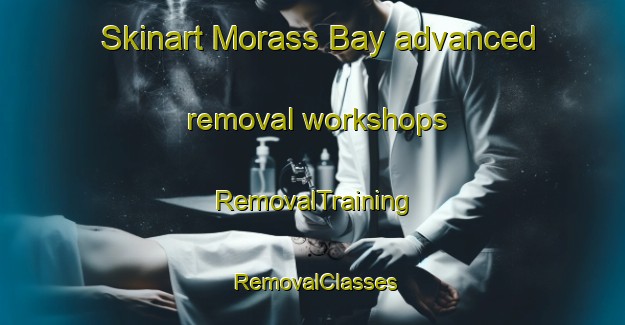 Skinart Morass Bay advanced removal workshops | RemovalTraining | RemovalClasses | SkinartTraining-Australia