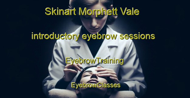 Skinart Morphett Vale introductory eyebrow sessions | EyebrowTraining | EyebrowClasses | SkinartTraining-Australia