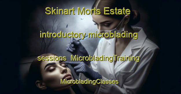 Skinart Morts Estate introductory microblading sessions | MicrobladingTraining | MicrobladingClasses | SkinartTraining-Australia