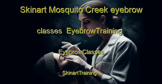 Skinart Mosquito Creek eyebrow classes | EyebrowTraining | EyebrowClasses | SkinartTraining-Australia