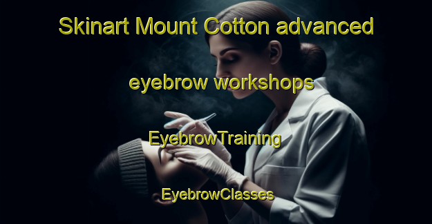 Skinart Mount Cotton advanced eyebrow workshops | EyebrowTraining | EyebrowClasses | SkinartTraining-Australia