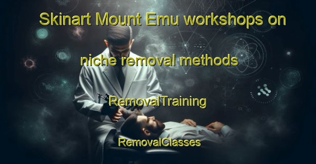 Skinart Mount Emu workshops on niche removal methods | RemovalTraining | RemovalClasses | SkinartTraining-Australia