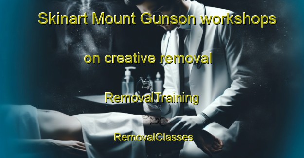Skinart Mount Gunson workshops on creative removal | RemovalTraining | RemovalClasses | SkinartTraining-Australia